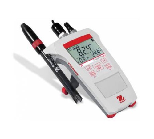 Starter Portable Meter ST300C-B (без электрода)