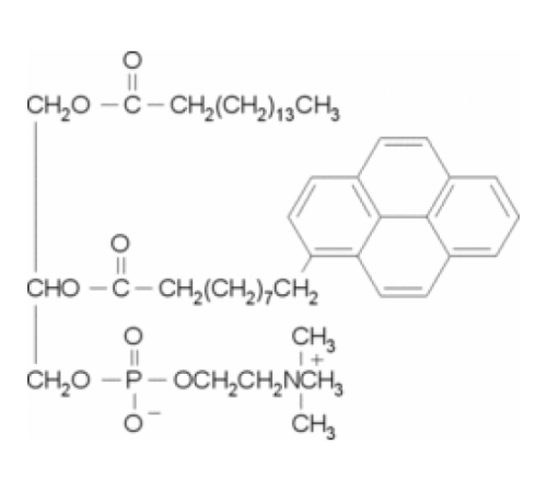 1-пальмитоил-2- (пирен-1-ил) деканоил-sn-глицеро-3-фосфохолин 95% Sigma P7657