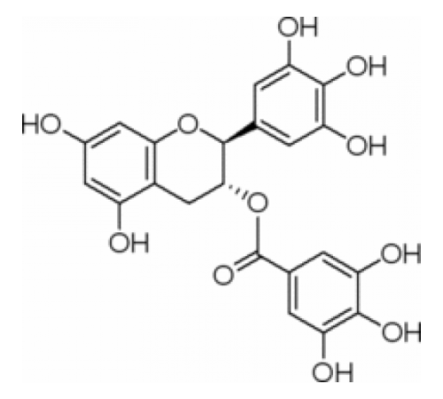 (β Галлокатехин галлат из зеленого чая, 98% (ВЭЖХ) Sigma G6782