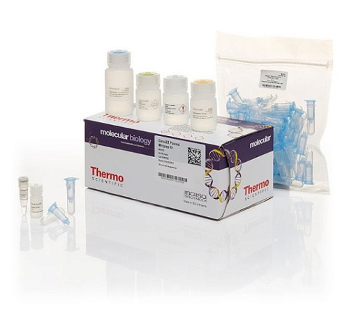 Набор GeneJET Plasmid Miniprep для выделения плазмидной ДНК из бактерий, Thermo FS