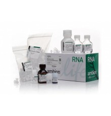 Набор RNAqueous-4PCR Total RNA Isolation Kit, Thermo FS